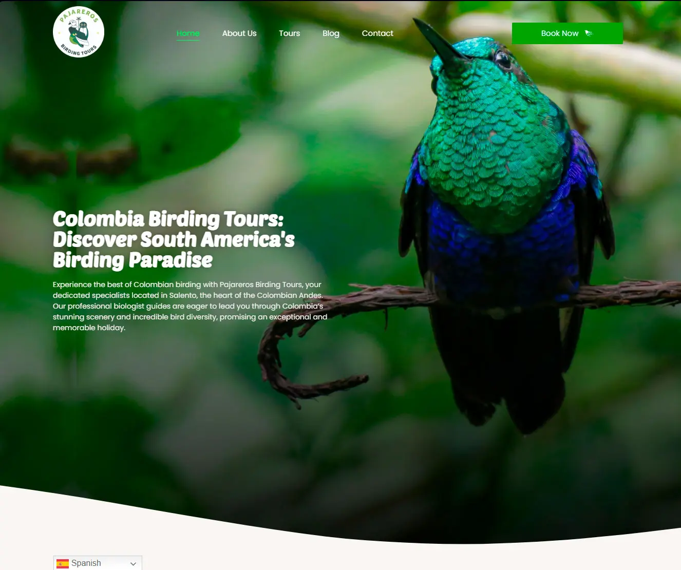 Pajareros birding tours